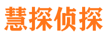 金台市侦探公司